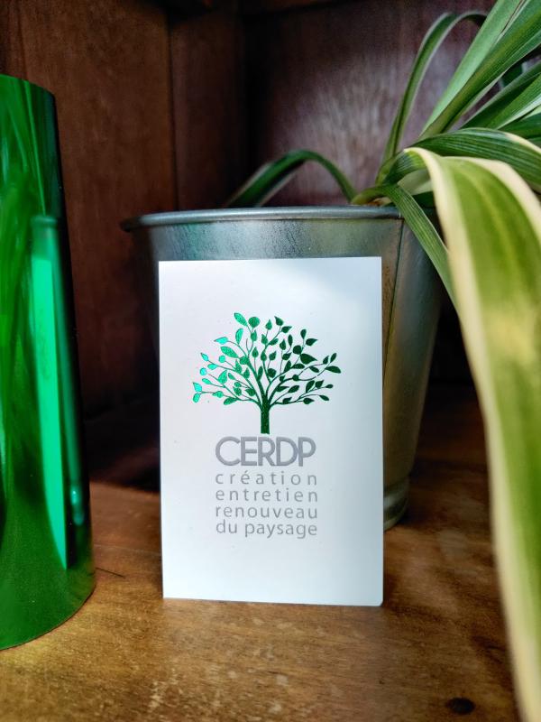 Carte de visite CERDP